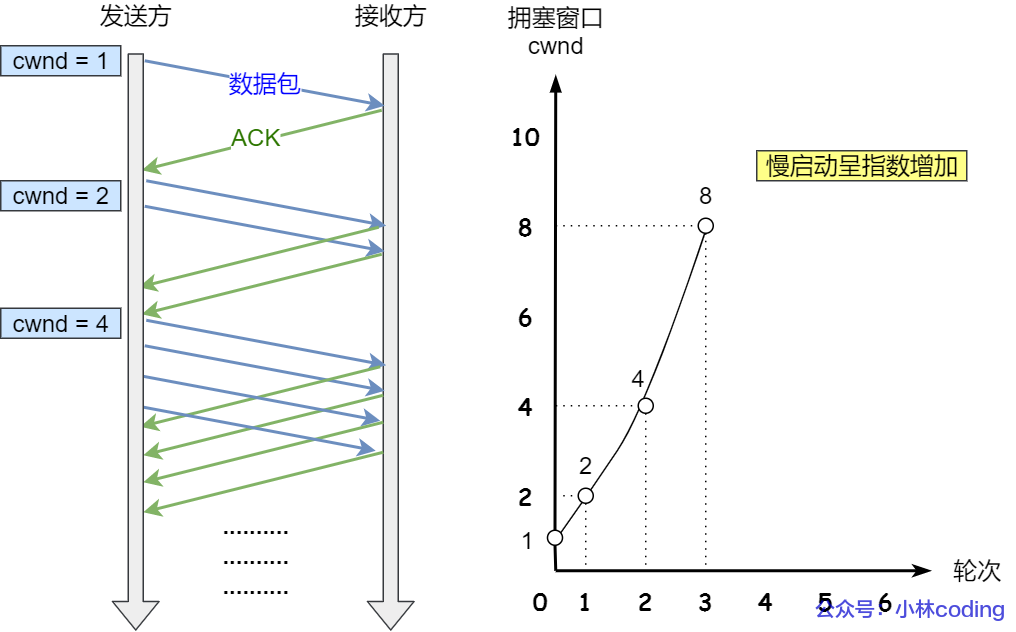 慢启动算法